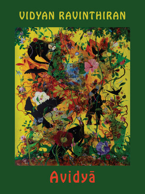 cover image of Avidya